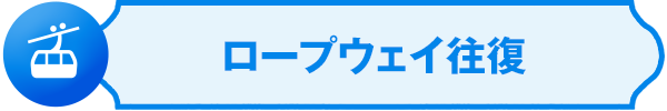 ロープウェイ往復