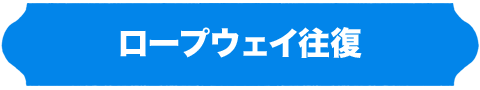 ロープウェイ往復