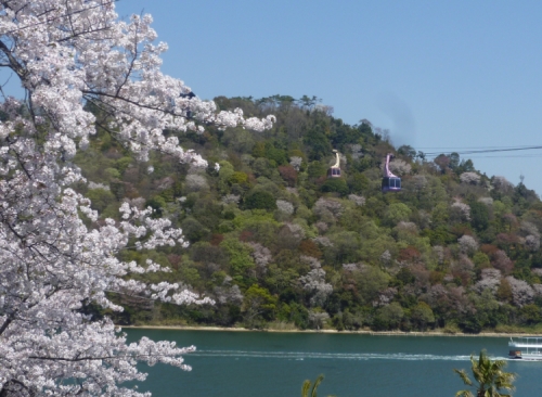 桜が見ごろ！浜名湖人気お出かけスポット・かんざんじロープウェイで桜の絶景を。