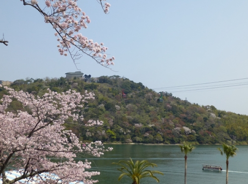 桜が見ごろ！浜名湖人気お出かけスポット・かんざんじロープウェイで桜の絶景を。