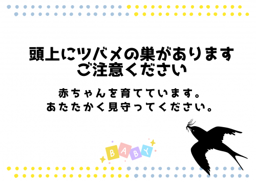 ツバメが今年も戻ってきました(7/1更新)